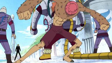 One Piece 5x142