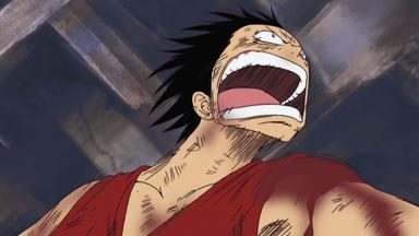 One Piece 4x126