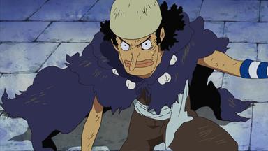 One Piece 10x361