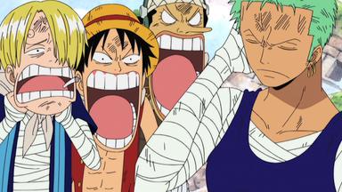 One Piece 6x194