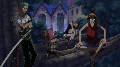 One Piece 8x242