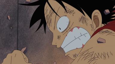 One Piece 4x123