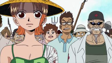 One Piece 1x41