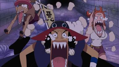 One Piece 10x339