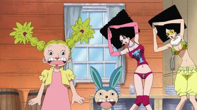 One Piece 9x314