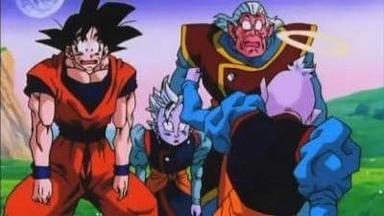 Dragon Ball Z 9x13