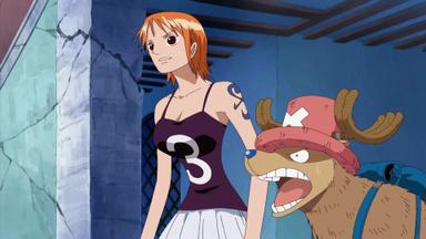 One Piece 8x245