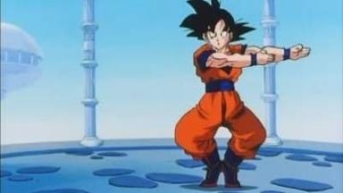 Dragon Ball Z 8x28