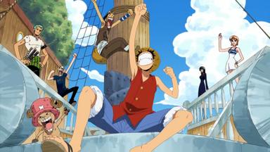 One Piece 8x229