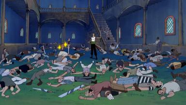 One Piece 8x244