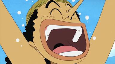 One Piece 1x9