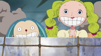 One Piece 9x311