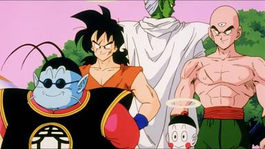 Dragon Ball Z 2x12