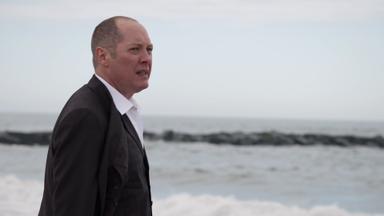 The Blacklist 3x19