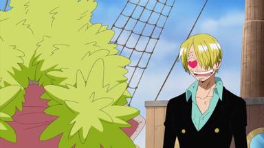 One Piece 9x307