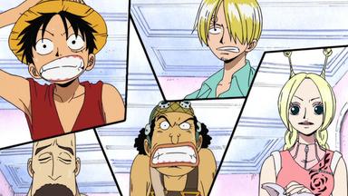 One Piece 6x157