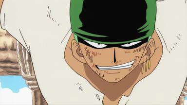 One Piece 1x2