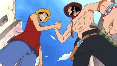 One Piece 4x95