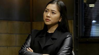 The Blacklist 9x6