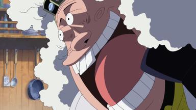 One Piece 8x259