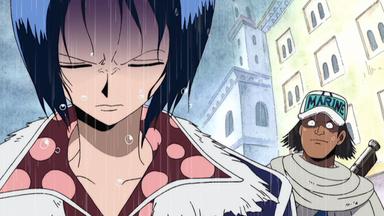 One Piece 4x127