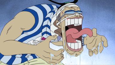 One Piece 4x109