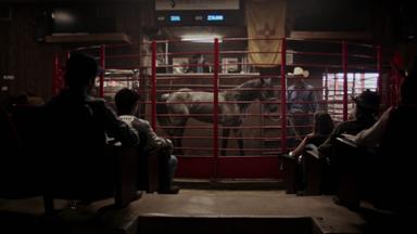 Cowboy Cartel 1x2