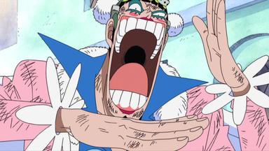 One Piece 4x116