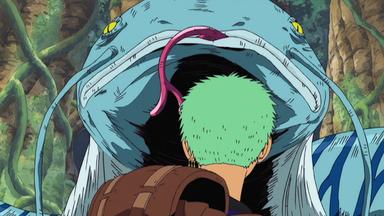 One Piece 6x168