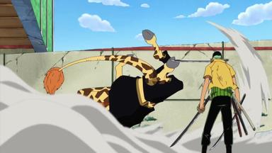 One Piece 9x300