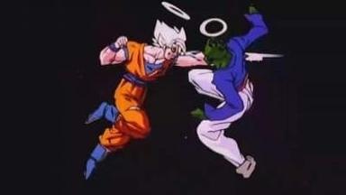 Dragon Ball Z 7x5