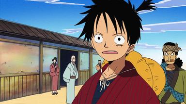 One Piece 9x291