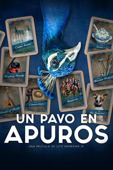 Un pavo en apuros