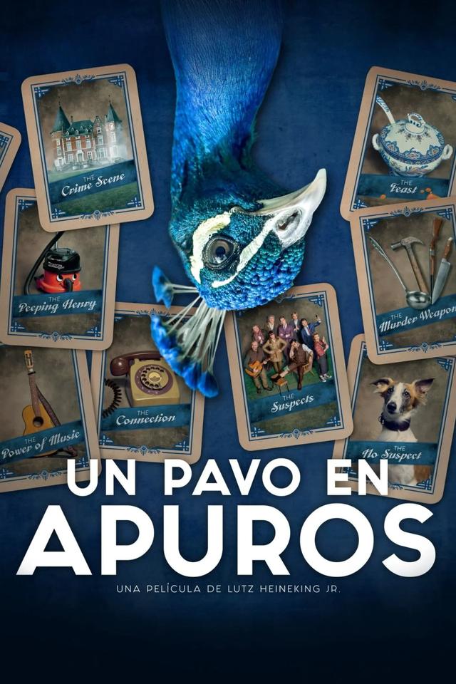 Un pavo en apuros