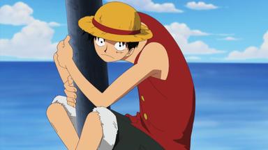 One Piece 9x265