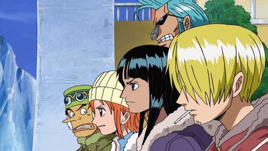 One Piece 9x329