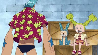 One Piece 9x297